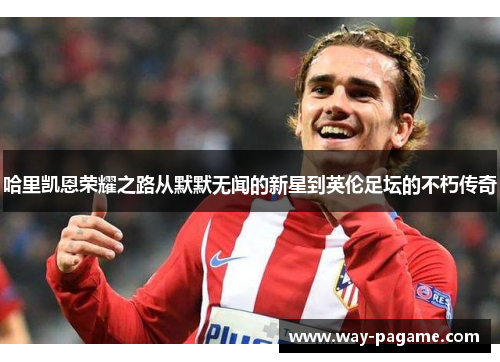 哈里凯恩荣耀之路从默默无闻的新星到英伦足坛的不朽传奇 哈里凯恩荣耀之路从默默无闻的新星到英伦足坛的不朽传奇