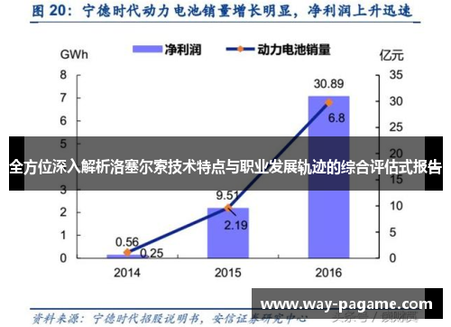 全方位深入解析洛塞尔索技术特点与职业发展轨迹的综合评估式报告