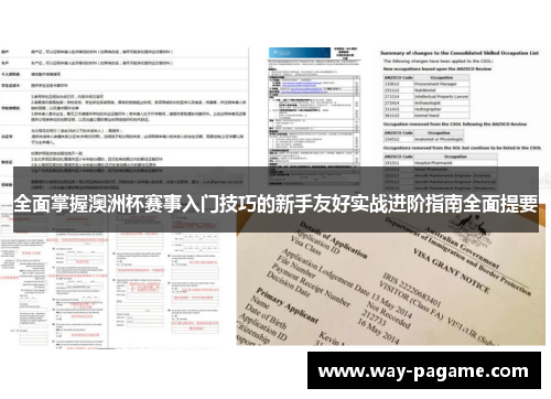 全面掌握澳洲杯赛事入门技巧的新手友好实战进阶指南全面提要