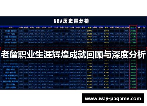 老詹职业生涯辉煌成就回顾与深度分析