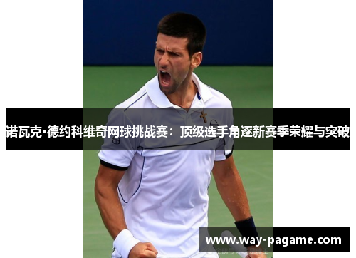 诺瓦克·德约科维奇网球挑战赛：顶级选手角逐新赛季荣耀与突破